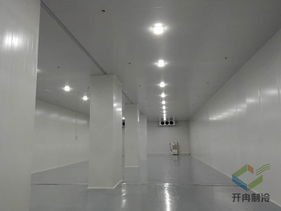藥品冷凍庫建造安裝設計的特點及優勢是哪些？