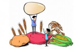 農(nóng)產(chǎn)品冷庫設計方案內容