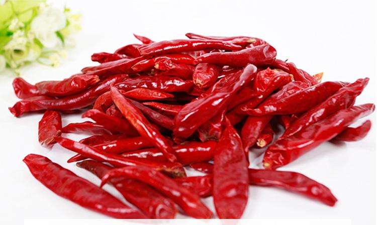 辣椒 辣椒