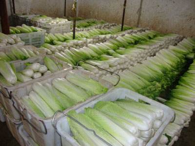 我想建一個(gè)蔬菜水果保鮮庫(kù),冷庫(kù)溫度是多少 我想建一個(gè)蔬菜水果保鮮庫(kù),冷庫(kù)溫度是多少