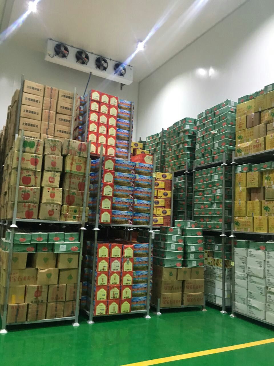 1000噸(1000平方米)的水果冷庫(kù) 1000噸(1000平方米)的水果冷庫(kù)