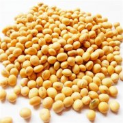 鮮黃豆冷庫設計安裝造價,冷庫保鮮溫度是多少