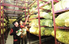 在上海建個(gè)蔬菜保鮮庫(kù)要多少錢(qián)