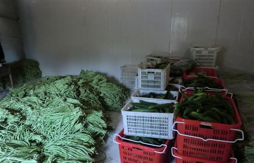 蔬菜保鮮庫 蔬菜保鮮庫