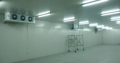 5000噸大蒜需建多大冷庫(kù),冷庫(kù)造價(jià)多少錢(qián) 5000噸大蒜需建多大冷庫(kù),冷庫(kù)造價(jià)多少錢(qián)