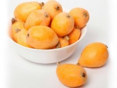 枇杷冷庫貯藏技術介紹,枇杷冷庫造價是多少