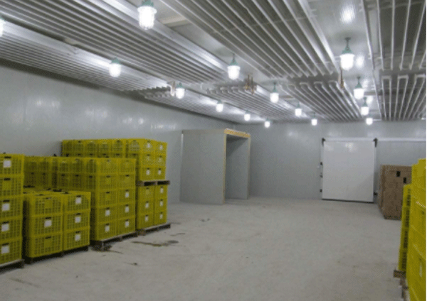 農(nóng)產(chǎn)品出口冷庫(kù) 農(nóng)產(chǎn)品出口冷庫(kù)