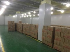 建500噸凍肉冷凍冷庫(kù)投資，占地面積多少