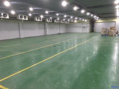 冷凍庫(kù)設(shè)備1000平報(bào)價(jià)及圖片