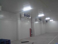 GSP醫(yī)療冷庫2-8℃冷庫建設(shè)報(bào)價(jià)，案例