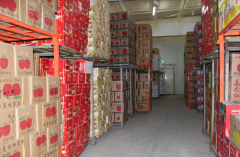 建造一個(gè)獼猴桃冷庫(kù)需要投資多少錢？