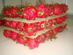 做一個(gè)水果氣調(diào)保鮮庫(kù)安裝大概需要多少錢？