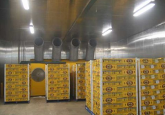 300噸葡萄保鮮庫造價，葡萄冷庫保鮮期及溫度多少？