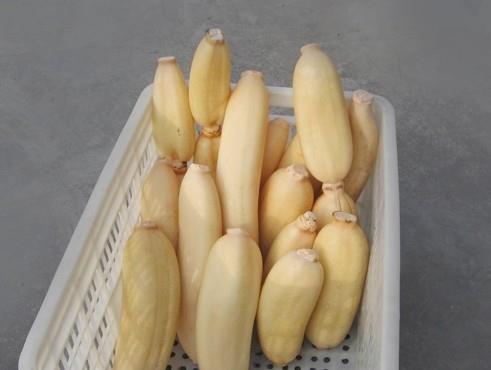 100噸的蓮藕怎么保鮮，蓮藕保鮮庫(kù)設(shè)計(jì)及造價(jià)