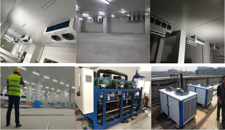 http://www.zk315.cn/gongchenganli/shipin/1230.html
