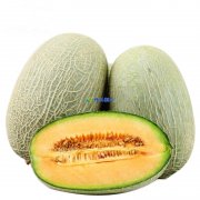 哈密瓜在保鮮庫可以儲(chǔ)存多久,儲(chǔ)存溫度是多少?