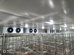 冷凍庫造價一平米價格怎么算？凍庫一立方的造價是多少錢